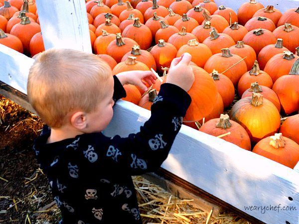 Pumpkins EVERYWHERE