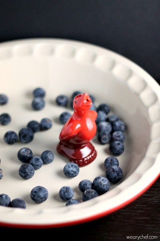 Easy Blueberry Pie and How to Use a Pie Bird