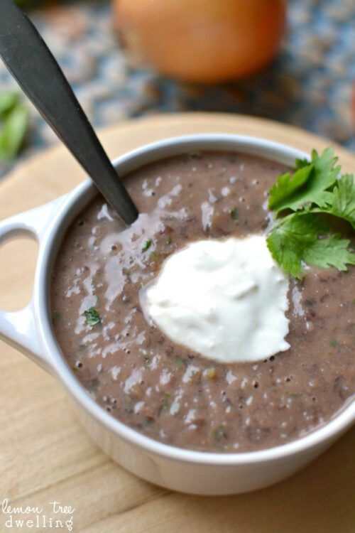 Blender Black Bean Soup | Lemon Tree Dwelling