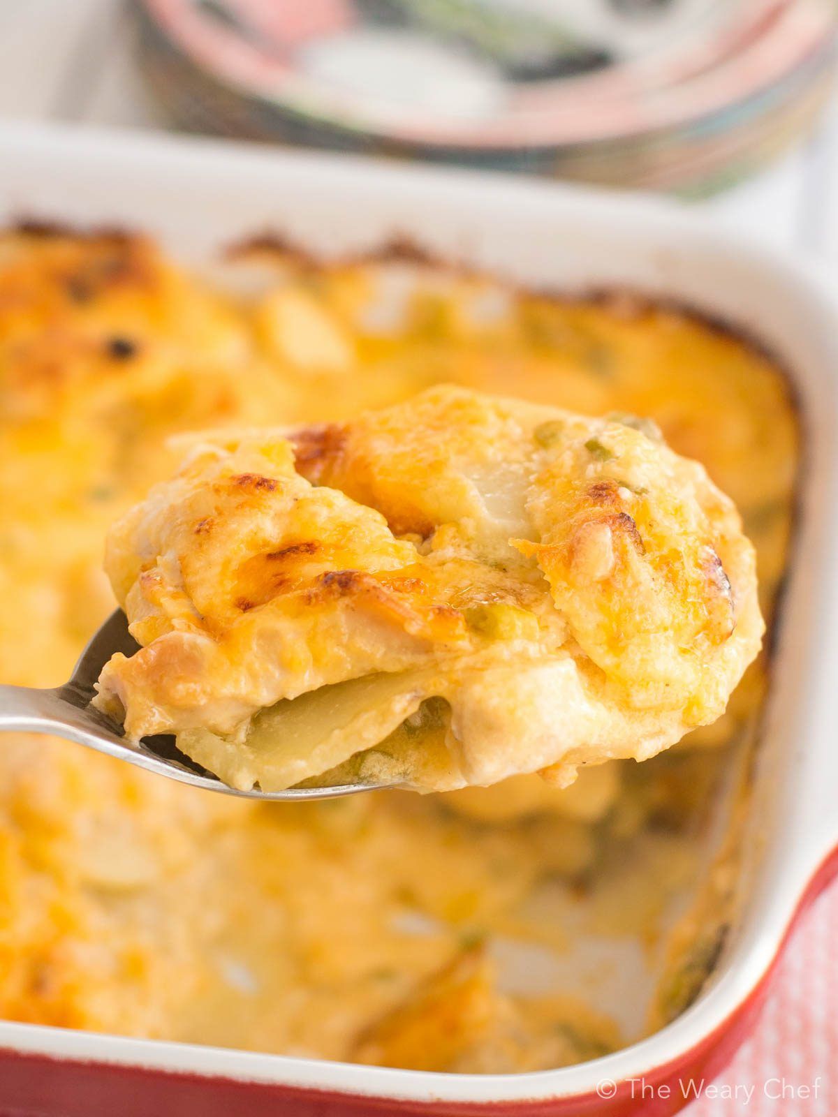 Are you in the mood for something carb loaded, cheesy, and delicious? I've got just the thing! Feast your eyes on this Scalloped Potatoes recipe. Then, go make it for dinner!