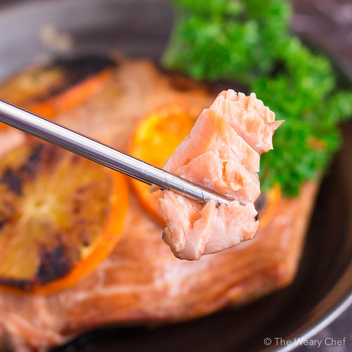 You'll love this seared orange salmon for dinner tonight!