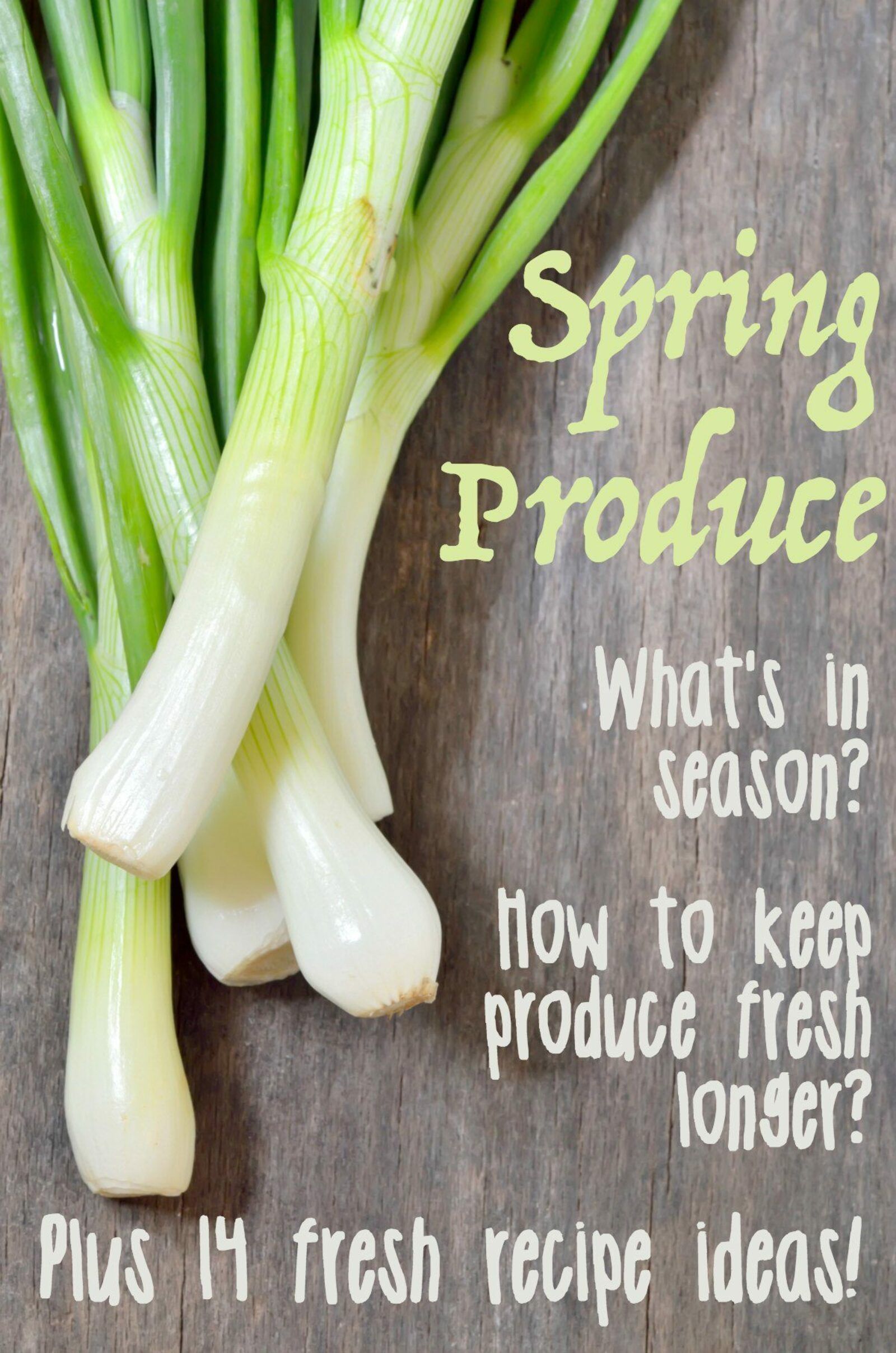 Seasonal Produce in April and Keeping it Fresh The Weary Chef