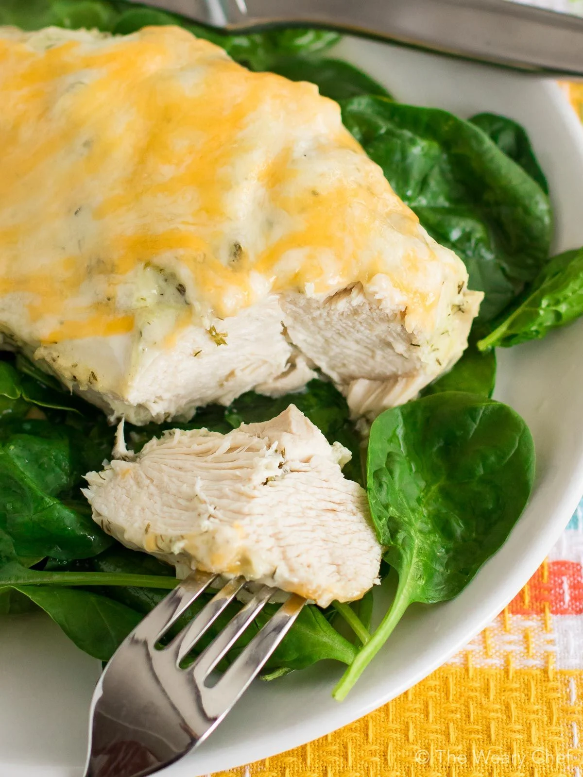 You'll love this juicy Greek Yogurt Chicken for dinner!