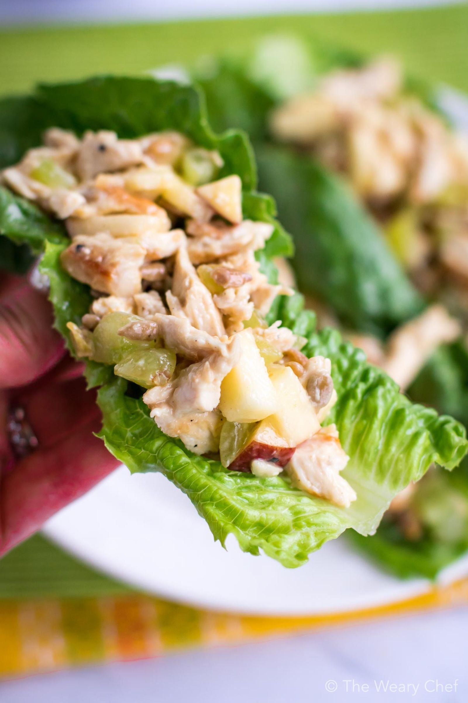 Waldorf Chicken Salad Lettuce Wraps - The Weary Chef