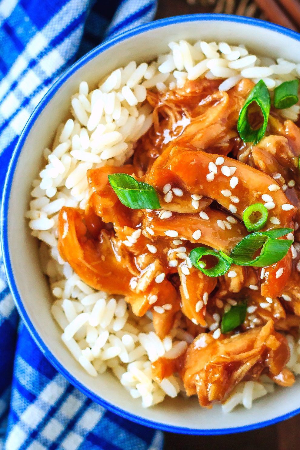 Slow Cooker Teriyaki Chicken