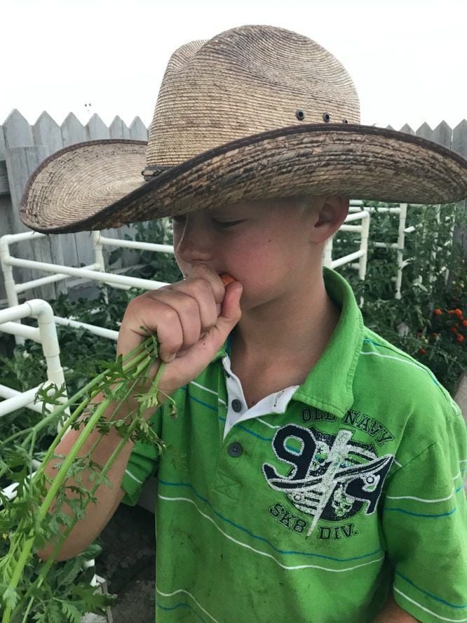 Little Dairy On The Prairie - Her sons love eating veggies right out of the ground!