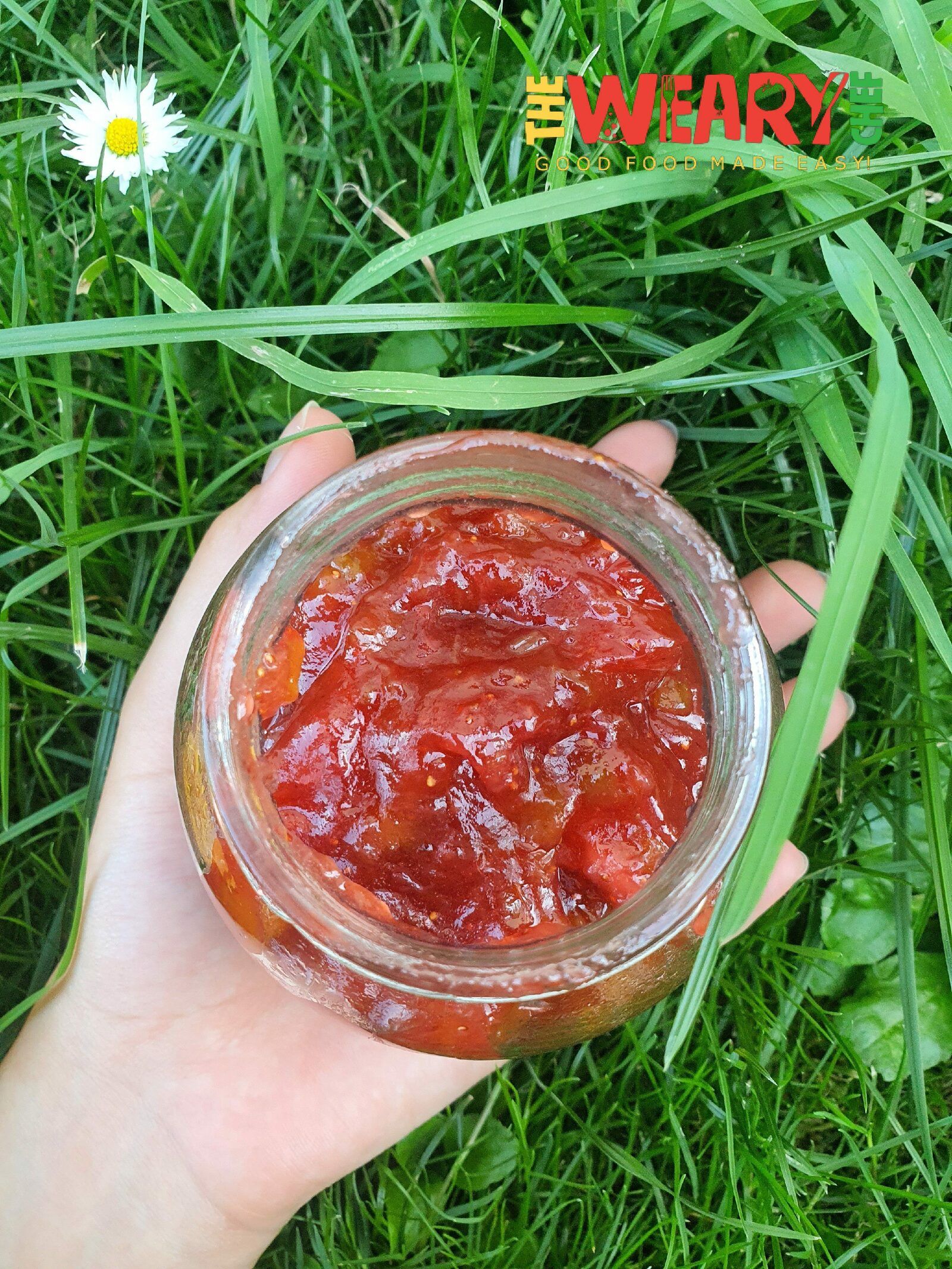 Rhubarb Freezer Jam 