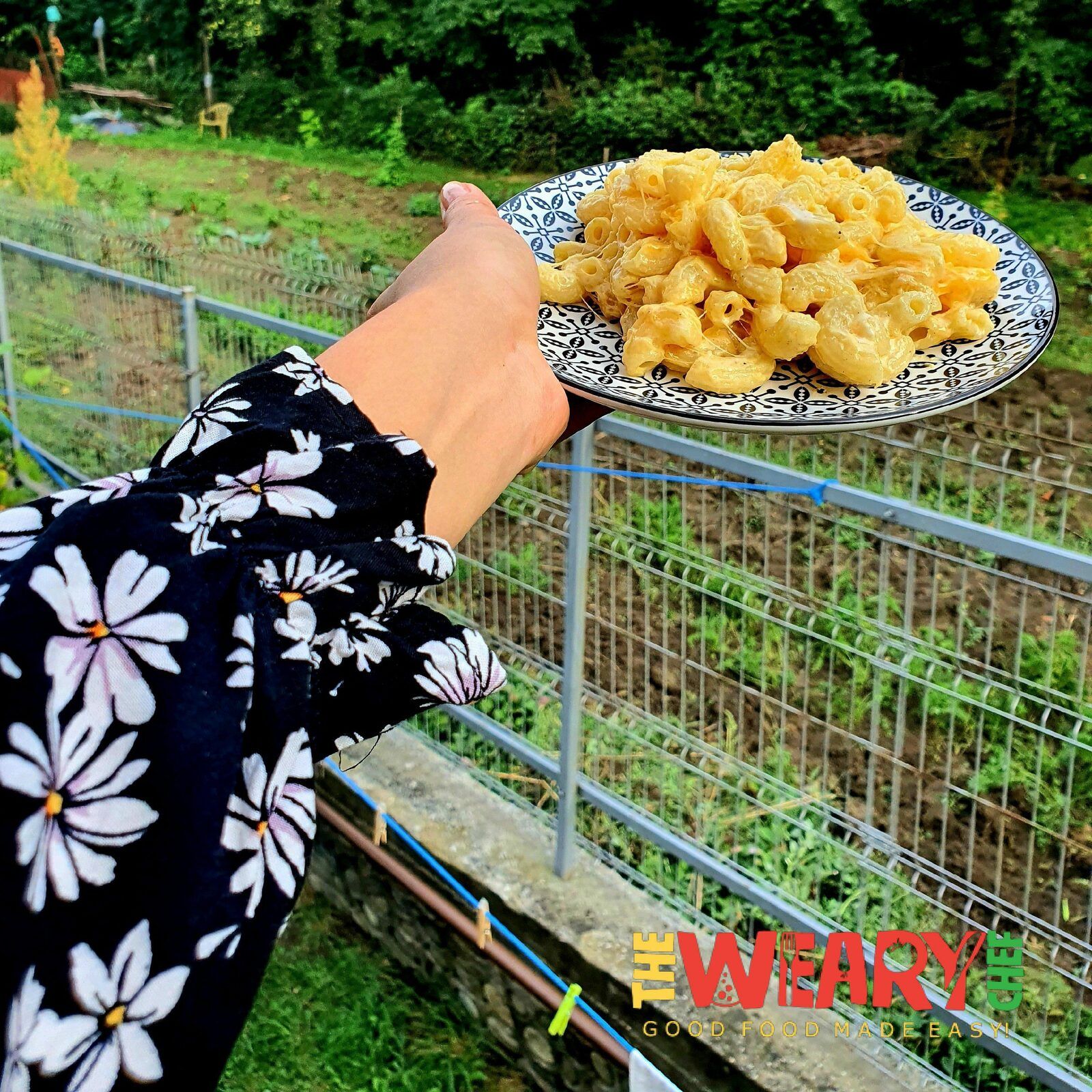 Chick-fil-A Mac and Cheese on a Plate