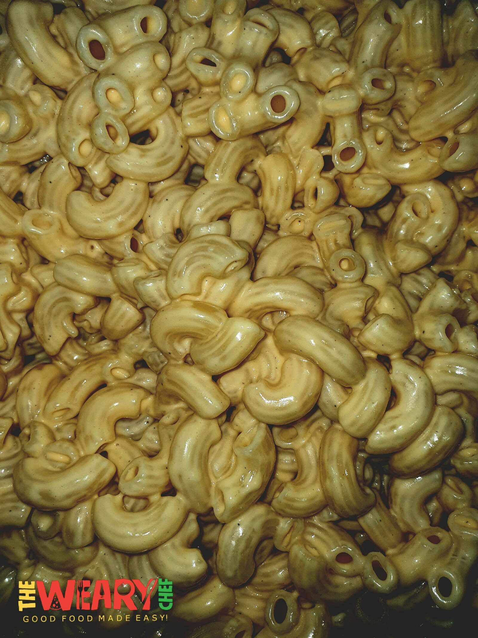 creamy cheesy macaroni